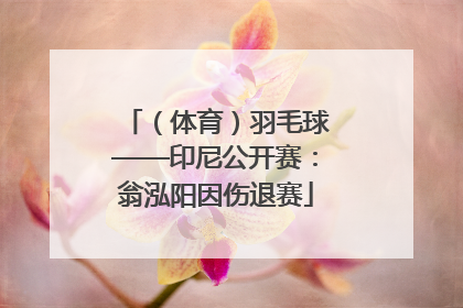 （体育）羽毛球——印尼公开赛：翁泓阳因伤退赛
