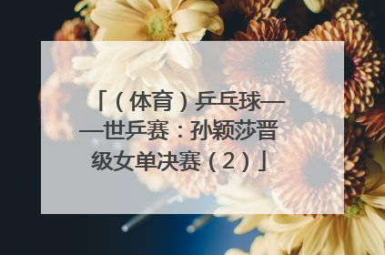 （体育）乒乓球——世乒赛：孙颖莎晋级女单决赛（2）