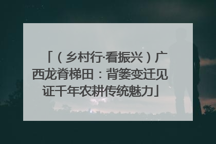 （乡村行·看振兴）广西龙脊梯田：背篓变迁见证千年农耕传统魅力