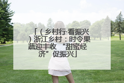 （乡村行·看振兴）浙江乡村：时令果蔬迎丰收 “甜蜜经济”促振兴