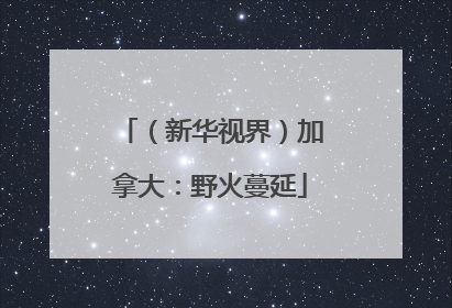 （新华视界）加拿大：野火蔓延