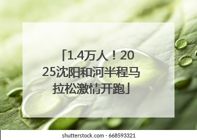 1.4万人！2025沈阳和河半程马拉松激情开跑
