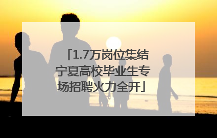 1.7万岗位集结 宁夏高校毕业生专场招聘火力全开