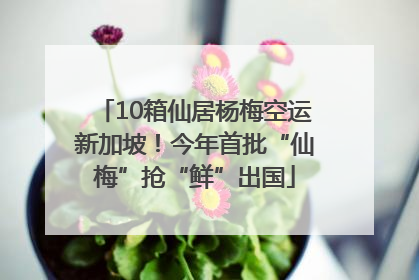 10箱仙居杨梅空运新加坡！今年首批“仙梅”抢“鲜”出国