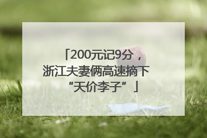 200元记9分，浙江夫妻俩高速摘下“天价李子”