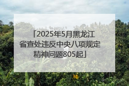 2025年5月黑龙江省查处违反中央八项规定精神问题805起