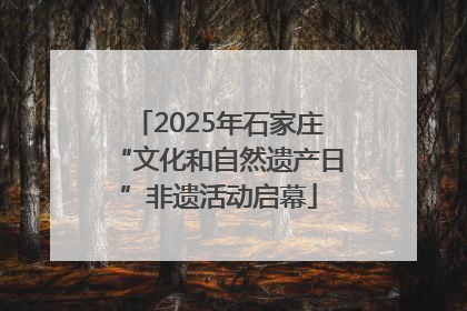 2025年石家庄“文化和自然遗产日”非遗活动启幕
