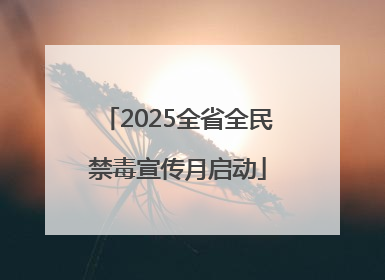 2025全省全民禁毒宣传月启动