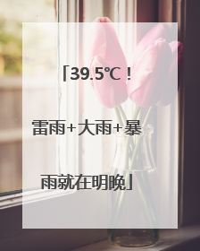 39.5℃！雷雨+大雨+暴雨就在明晚