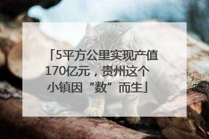 5平方公里实现产值170亿元，贵州这个小镇因“数”而生