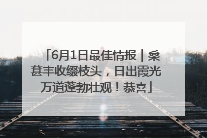 6月1日最佳情报｜桑葚丰收缀枝头，日出霞光万道蓬勃壮观！恭喜