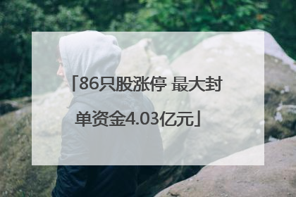 86只股涨停 最大封单资金4.03亿元